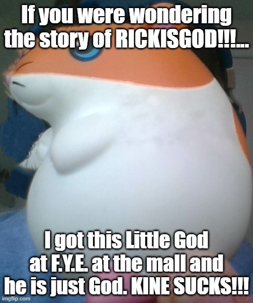 The Story Of Rick | If you were wondering the story of RICKISGOD!!!... I got this Little God at F.Y.E. at the mall and he is just God. KINE SUCKS!!! | image tagged in rickisgod,kirby,kirby has found your sin unforgivable,why are you reading this,why are you reading the tags | made w/ Imgflip meme maker