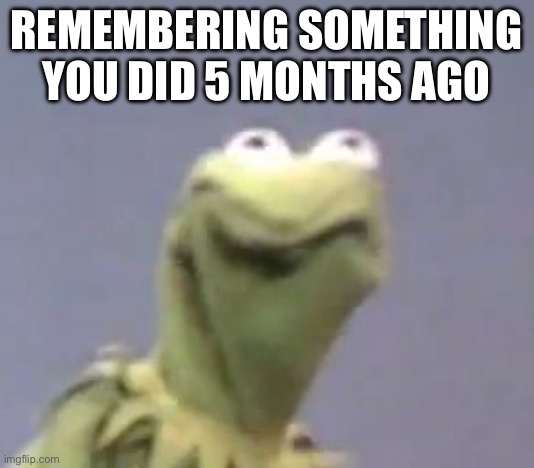 Kermit Cringe | REMEMBERING SOMETHING YOU DID 5 MONTHS AGO | image tagged in kermit cringe | made w/ Imgflip meme maker