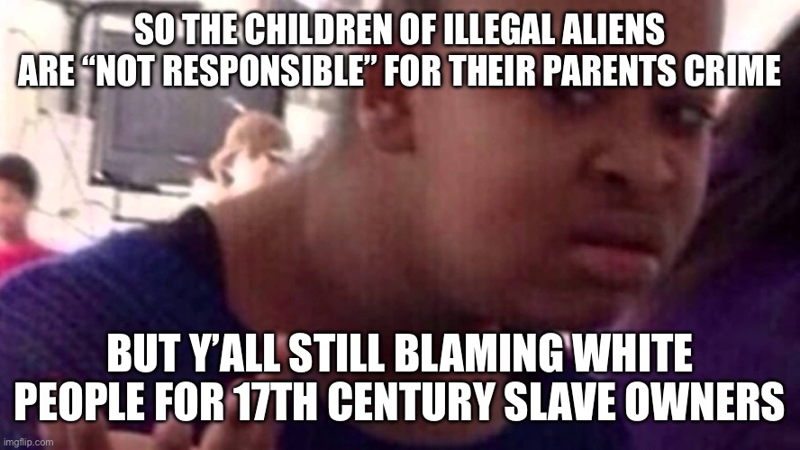 WTF Girl Face | SO THE CHILDREN OF ILLEGAL ALIENS ARE “NOT RESPONSIBLE” FOR THEIR PARENTS CRIME; BUT Y’ALL STILL BLAMING WHITE PEOPLE FOR 17TH CENTURY SLAVE OWNERS | image tagged in wtf girl face,illegal immigration,liberal hypocrisy | made w/ Imgflip meme maker