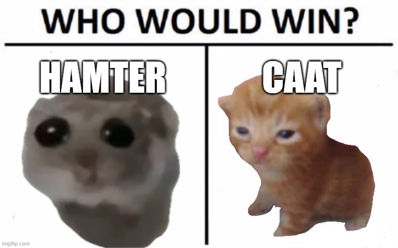 Who Would Win? | HAMTER; CAAT | image tagged in memes,who would win | made w/ Imgflip meme maker