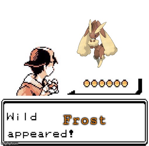 Blank Wild Pokemon Appears | Frost | image tagged in blank wild pokemon appears | made w/ Imgflip meme maker