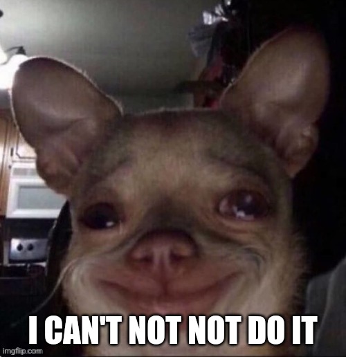 crying dog | I CAN'T NOT NOT DO IT | image tagged in crying dog | made w/ Imgflip meme maker