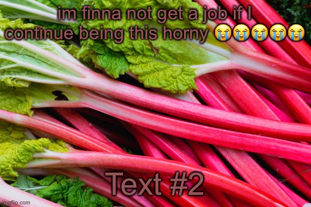 Image Title | im finna not get a job if I continue being this horny 😭😭😭😭😭; Text #2 | image tagged in rhubarb | made w/ Imgflip meme maker