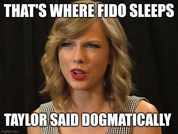 Taylor said dogmatically | THAT'S WHERE FIDO SLEEPS; TAYLOR SAID DOGMATICALLY | image tagged in taylor swiftie | made w/ Imgflip meme maker