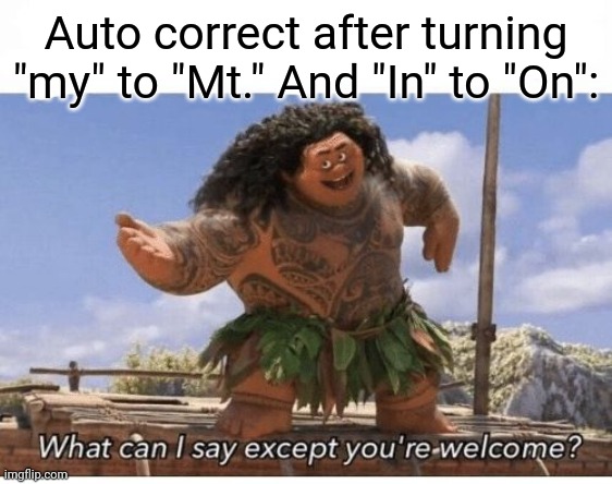 youre welcome | Auto correct after turning "my" to "Mt." And "In" to "On": | image tagged in youre welcome | made w/ Imgflip meme maker