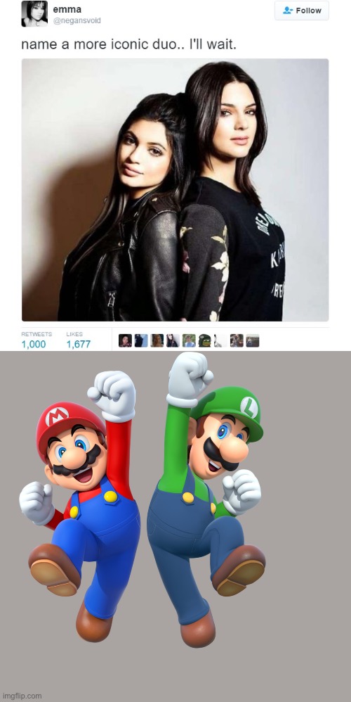 Name a More Iconic Duo | image tagged in name a more iconic duo,mario and luigi | made w/ Imgflip meme maker
