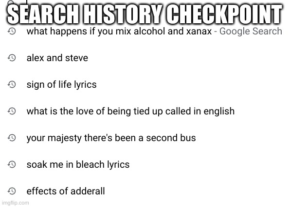 reveal your search history | SEARCH HISTORY CHECKPOINT | made w/ Imgflip meme maker