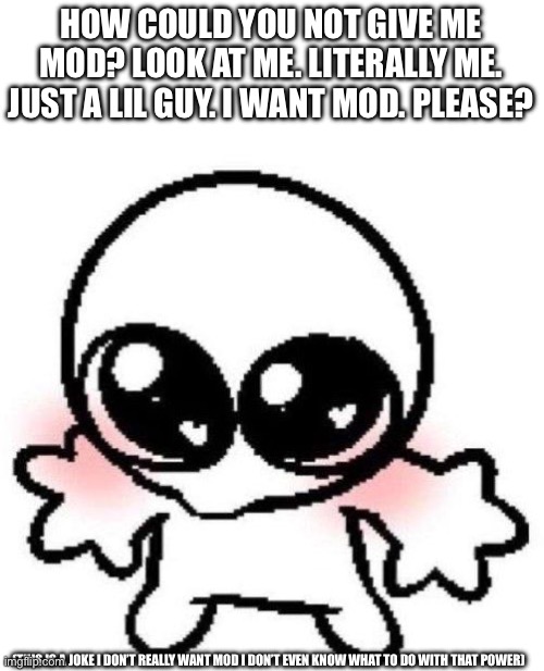 silly lil guy | HOW COULD YOU NOT GIVE ME MOD? LOOK AT ME. LITERALLY ME. JUST A LIL GUY. I WANT MOD. PLEASE? (THIS IS A JOKE I DON’T REALLY WANT MOD I DON’T | image tagged in silly lil guy | made w/ Imgflip meme maker