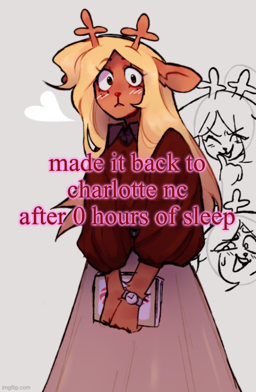 4 more hours of driving and im back home to my cats | made it back to charlotte nc after 0 hours of sleep | image tagged in noelle holiday's temp | made w/ Imgflip meme maker