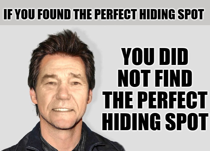 lou carey | IF YOU FOUND THE PERFECT HIDING SPOT; YOU DID NOT FIND THE PERFECT HIDING SPOT | image tagged in lou carey | made w/ Imgflip meme maker