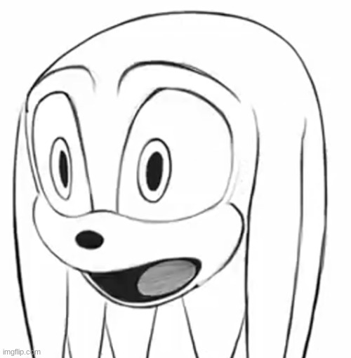 knuckles shocked | image tagged in knuckles shocked | made w/ Imgflip meme maker