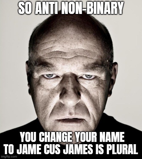Heh, one for all to enjoy :) | SO ANTI NON-BINARY; YOU CHANGE YOUR NAME TO JAME CUS JAMES IS PLURAL | image tagged in gender identity,funny | made w/ Imgflip meme maker