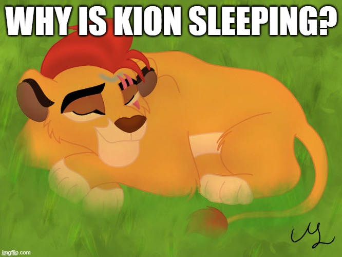 A mentally sick piece of garbage | WHY IS KION SLEEPING? | image tagged in a mentally sick piece of garbage | made w/ Imgflip meme maker