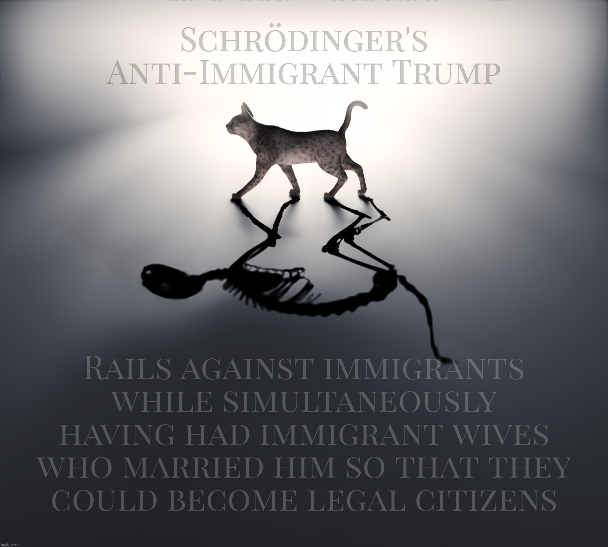 Schrödinger's Anti-Immigrant Trump | Schrödinger's Anti-Immigrant Trump; Rails against immigrants
while simultaneously
having had immigrant wives
who married him so that they
could become legal citizens | image tagged in schrodinger's cat,schrodinger's trump,anti illegal alien,making aliens legal,hypocrisy in the centerfold,donald trump | made w/ Imgflip meme maker