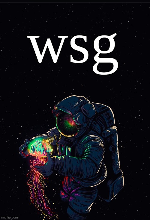 Astronaut in the Ocean | wsg | image tagged in astronaut in the ocean | made w/ Imgflip meme maker