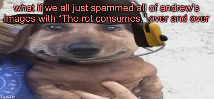 chucklenuts | what if we all just spammed all of andrew’s images with “The rot consumes.” over and over | image tagged in chucklenuts | made w/ Imgflip meme maker