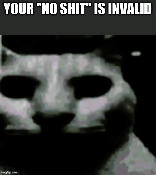 YOUR "NO SHIT" IS INVALID | made w/ Imgflip meme maker