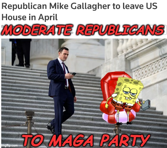 That majority's looking skinnier all the time | MODERATE REPUBLICANS; TO MAGA PARTY | image tagged in house of representatives,gop,moderates,extremism,congress | made w/ Imgflip meme maker