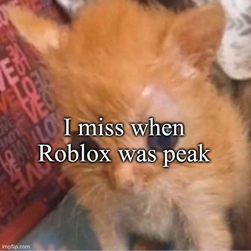 skrunkly | I miss when Roblox was peak | image tagged in skrunkly | made w/ Imgflip meme maker