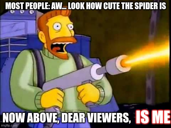 Kill it with fire | MOST PEOPLE: AW... LOOK HOW CUTE THE SPIDER IS; NOW ABOVE, DEAR VIEWERS, IS ME | image tagged in kill it with fire | made w/ Imgflip meme maker