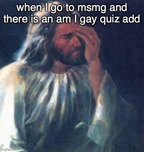 jesus facepalm | when I go to msmg and there is an am I gay quiz add | image tagged in jesus facepalm | made w/ Imgflip meme maker