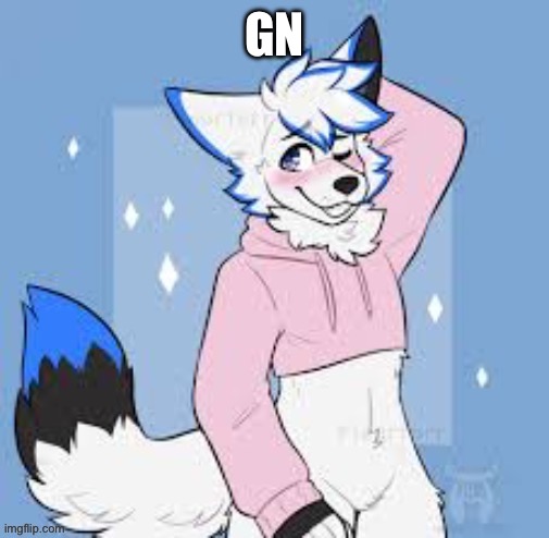 Femboy furry | GN | image tagged in femboy furry | made w/ Imgflip meme maker