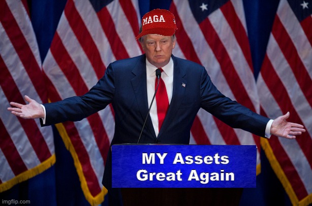 Donald Trump | MY Assets
Great Again | image tagged in donald trump | made w/ Imgflip meme maker