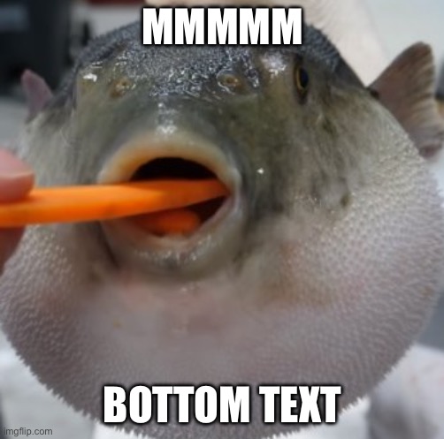 Mmmmmmmmmmm Bottom Text | MMMMM; BOTTOM TEXT | image tagged in pufferfish eating carrot | made w/ Imgflip meme maker