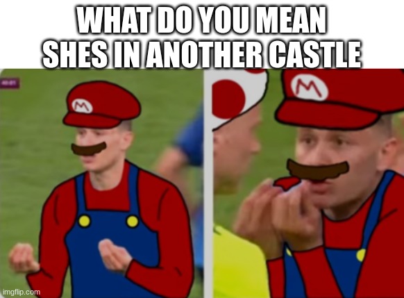WHY DOES IT TAKE SO LONG TON GET TO PEACH | WHAT DO YOU MEAN SHES IN ANOTHER CASTLE | image tagged in mario | made w/ Imgflip meme maker