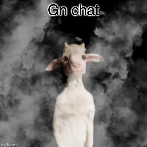 Gn chat | made w/ Imgflip meme maker