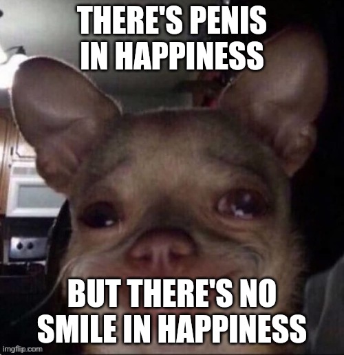 crying dog | THERE'S PENIS IN HAPPINESS; BUT THERE'S NO SMILE IN HAPPINESS | image tagged in crying dog | made w/ Imgflip meme maker