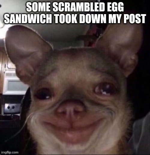 Deserved | SOME SCRAMBLED EGG SANDWICH TOOK DOWN MY POST | image tagged in crying dog | made w/ Imgflip meme maker