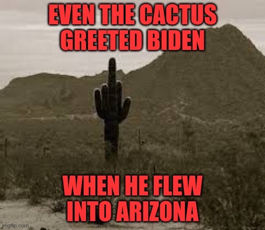 Cactus | EVEN THE CACTUS GREETED BIDEN; WHEN HE FLEW INTO ARIZONA | image tagged in rude finger,politics | made w/ Imgflip meme maker