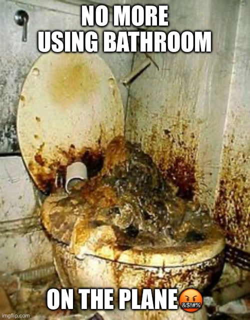 Public Bathroom | NO MORE USING BATHROOM; ON THE PLANE🤬 | image tagged in public bathroom | made w/ Imgflip meme maker
