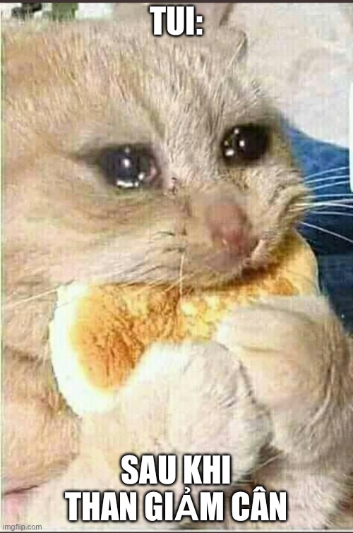 TUI:; SAU KHI THAN GIẢM CÂN | made w/ Imgflip meme maker