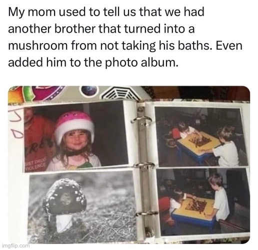 Mushroom bro | image tagged in brother,mushroom | made w/ Imgflip meme maker