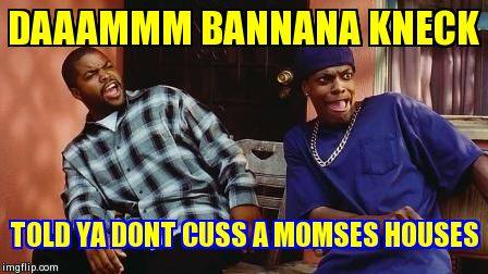 Smokey&Ice Cube | DAAAMMM BANNANA KNECK  TOLD YA DONT CUSS A MOMSES HOUSES | image tagged in smokeyice cube | made w/ Imgflip meme maker
