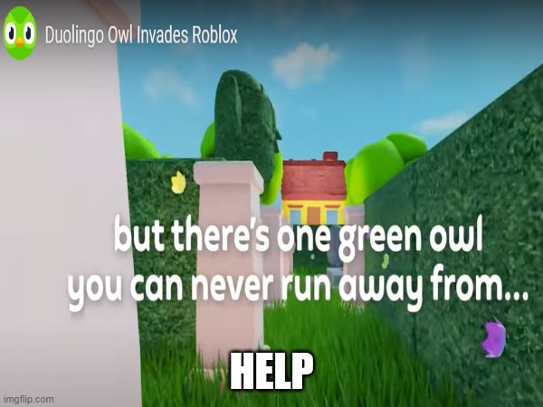 help | HELP | image tagged in roblox,duolingo | made w/ Imgflip meme maker