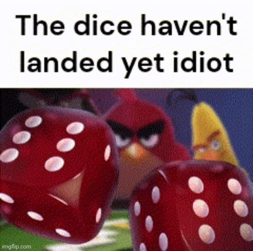 image tagged in funny,memes,angry birds,dice,idiot | made w/ Imgflip meme maker