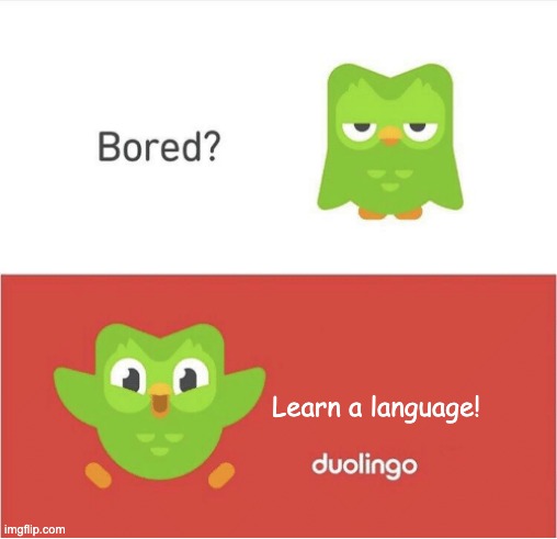 And that's what duolingo is for. | Learn a language! | image tagged in duolingo bored | made w/ Imgflip meme maker