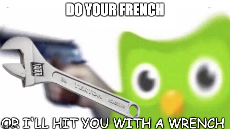 FRENCH OR GET HIT BY A WRENCH | DO YOUR FRENCH; OR I'LL HIT YOU WITH A WRENCH | image tagged in duolingo bird with a gun | made w/ Imgflip meme maker