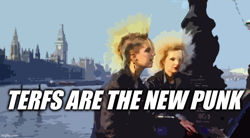TERFS ARE THE NEW PUNK | image tagged in memes,terfs,women's rights,punk,anti-establishment,abortion rights | made w/ Imgflip meme maker