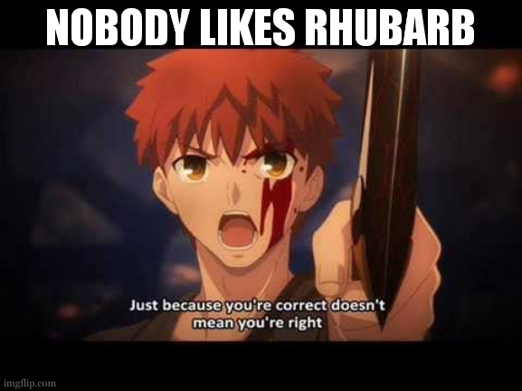 Just because you’re correct | NOBODY LIKES RHUBARB | image tagged in just because you re correct,rhubarb,funny,lol,anime,manga | made w/ Imgflip meme maker
