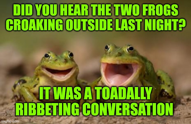 two happy frogs  | DID YOU HEAR THE TWO FROGS CROAKING OUTSIDE LAST NIGHT? IT WAS A TOADALLY RIBBETING CONVERSATION | image tagged in two happy frogs | made w/ Imgflip meme maker