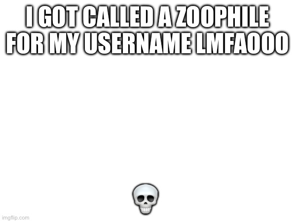 I GOT CALLED A ZOOPHILE FOR MY USERNAME LMFAOOO; 💀 | made w/ Imgflip meme maker