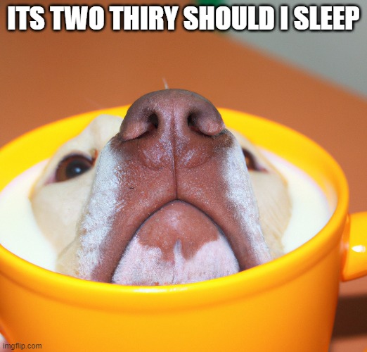 Milk Dog | ITS TWO THIRY SHOULD I SLEEP | image tagged in milk dog | made w/ Imgflip meme maker