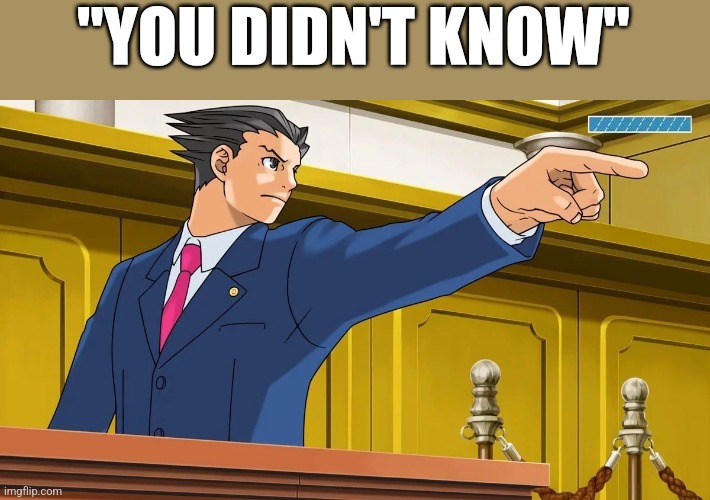 Pheonix Wright | "YOU DIDN'T KNOW" | image tagged in pheonix wright | made w/ Imgflip meme maker