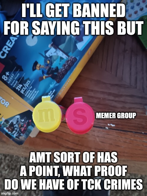 Thebest66 msmg | I'LL GET BANNED FOR SAYING THIS BUT; AMT SORT OF HAS A POINT, WHAT PROOF DO WE HAVE OF TCK CRIMES | image tagged in thebest66 msmg | made w/ Imgflip meme maker