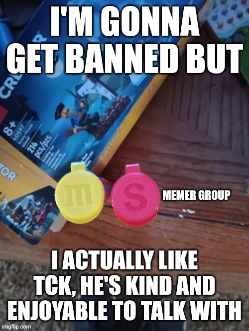 Thebest66 msmg | I'M GONNA GET BANNED BUT; I ACTUALLY LIKE TCK, HE'S KIND AND ENJOYABLE TO TALK WITH | image tagged in thebest66 msmg | made w/ Imgflip meme maker