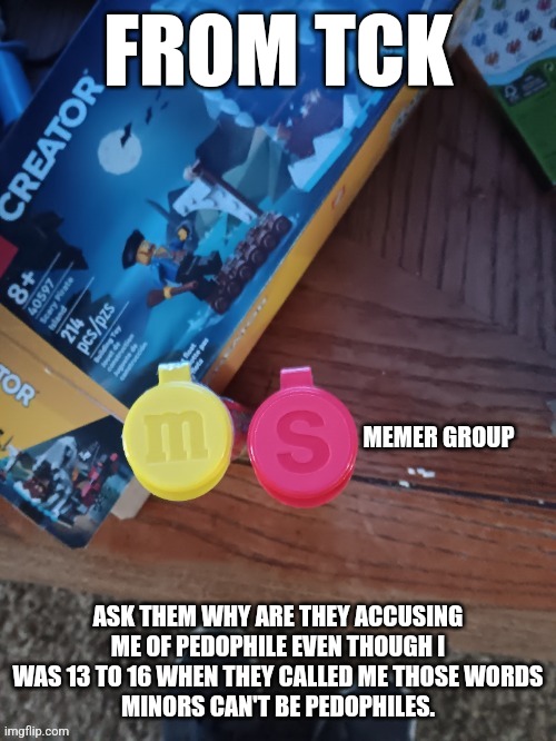 Thebest66 msmg | FROM TCK; ASK THEM WHY ARE THEY ACCUSING ME OF PEDOPHILE EVEN THOUGH I WAS 13 TO 16 WHEN THEY CALLED ME THOSE WORDS
MINORS CAN'T BE PEDOPHILES. | image tagged in thebest66 msmg | made w/ Imgflip meme maker